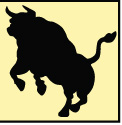 Bull's Head Logo